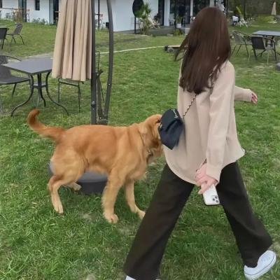 谁之过